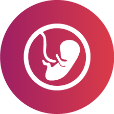 Confirmation of Pregnancy Icon - KM NU Hospitals
