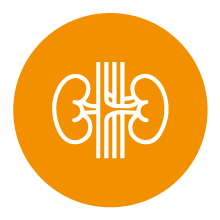 Gastrointestinal Disorder Icon - KM NU Hospitals