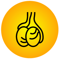 Hydrocele Surgery Icon - KM NU Hospitals