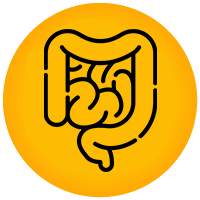 Intestinal Obstruction Surgery Icon - KM NU Hospitals