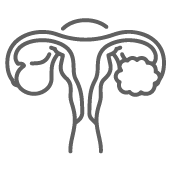 Polycystic Ovarian Disease Icon - KM NU Hospitals