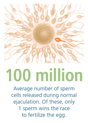 Male Infertility